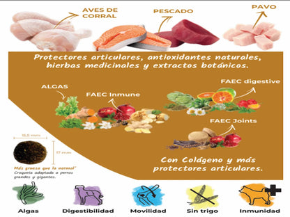 Saco de pienso completo de Pavo, Pollo y Atún para Perro de raza grande con colágeno