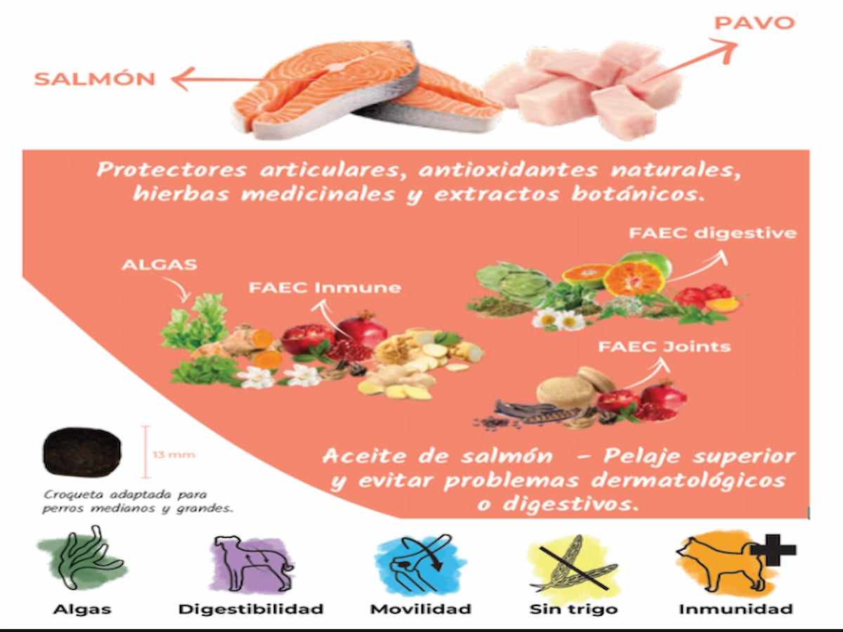 Saco de pienso completo de Salmón para Perro adulto con Omega 3 para piel sana y condroprotectores