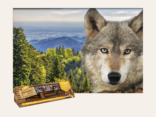 Snack Funcional Barritas Horneadas de Pavo, Piña y Coco "SIN CEREALES + DIGESTIVO & ANTIINFLAMATORIO" para Perro Adulto/Senior cualquier tamaño