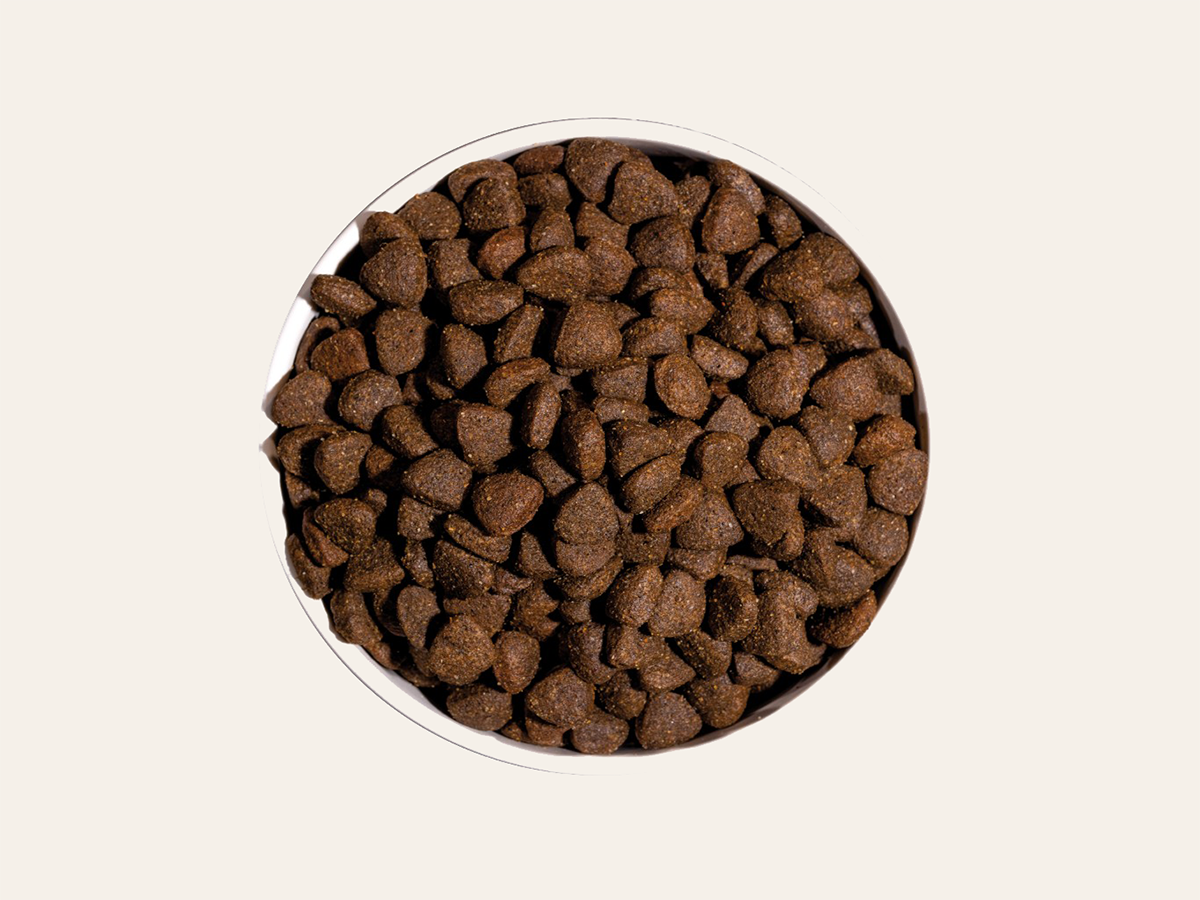 Pienso de Pollo, Cerdo y Pescado "SIN CEREALES + CUIDADO ARTICULAR & PIEL SANA" para Perro Adulto cualquier tamaño