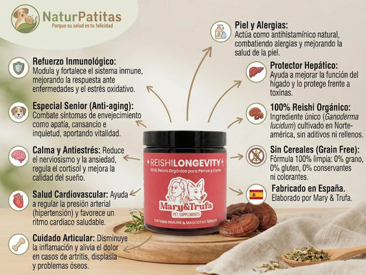 Bote de suplemento natural Reishilongevity de Mary & Trufa en NaturPatitas. Polvo de 100% hongo reishi orgánico para reforzar el sistema inmune y la vitalidad de perros y gatos senior.