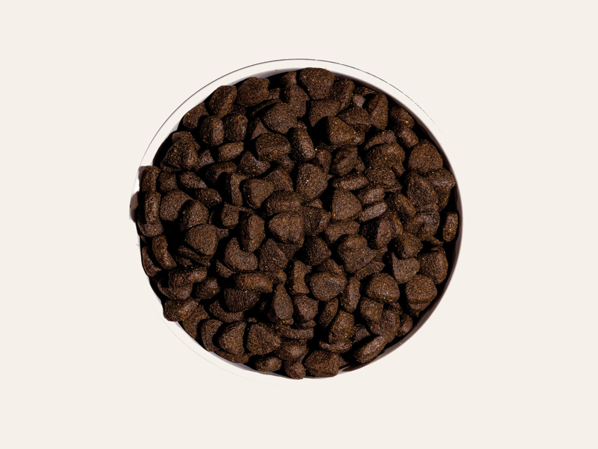 Pienso de Salmón, Marisco y Pollo "SIN CEREALES + CUIDADO ARTICULAR & PIEL SANA" para Perro Adulto/Senior cualquier tamaño