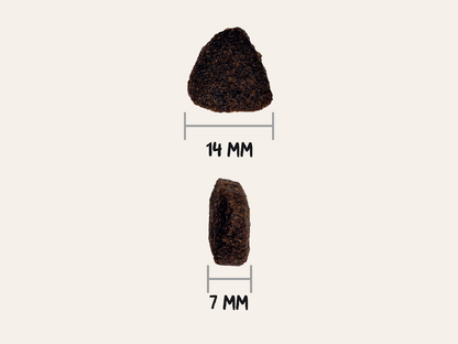 Pienso de Salmón, Marisco y Pollo "SIN CEREALES + CUIDADO ARTICULAR & PIEL SANA" para Perro Adulto/Senior cualquier tamaño