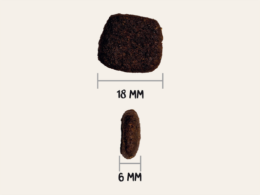 Pienso de Salmón "SIN CEREALES HIPOALERGÉNICO+ SOPORTE ARTICULAR & DIGESTIVO" para Perro Adulto/Senior tamaño Mediano/Grande