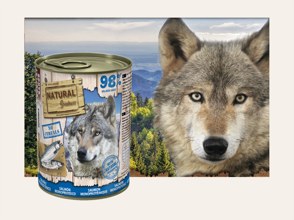 Mousse Completo de Salmón "SIN CEREALES + INMUNITARIO & DIGESTIVO" para Perro Adulto/Senior cualquier tamaño