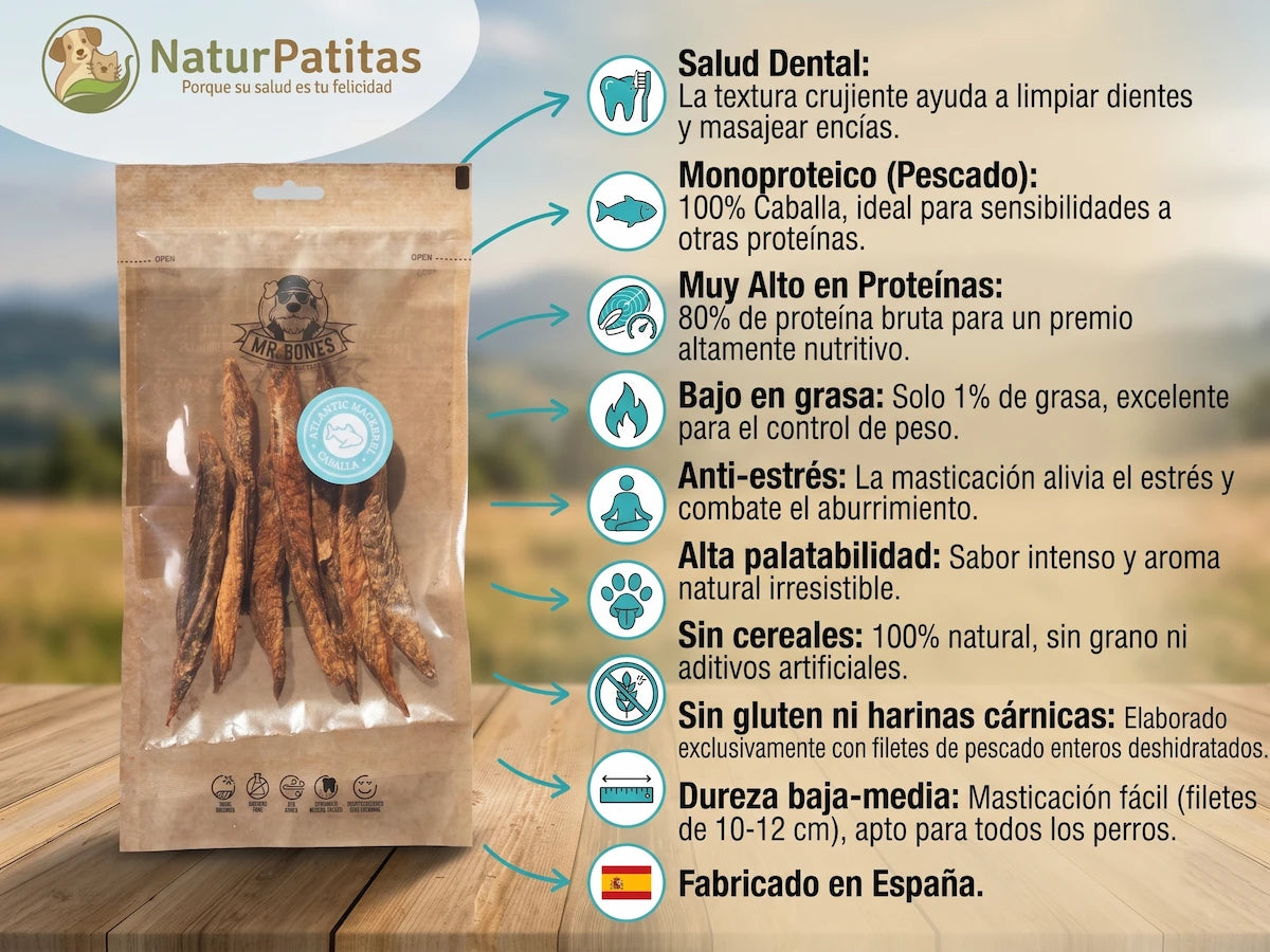 Infografía del snack natural Mr. Bones de filetes de caballa deshidratada para perros. Muestra el producto y sus beneficios: cuidado dental, 100% monoproteico, alto en proteínas, bajo en grasa, anti-estrés y sin cereales. Disponible en NaturPatitas.